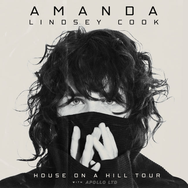 Amanda Cook The Voyage Mp3 Download
